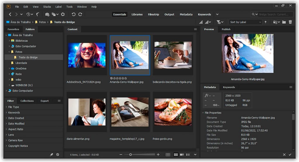 Selecionando uma imagem diferente no Bridge.