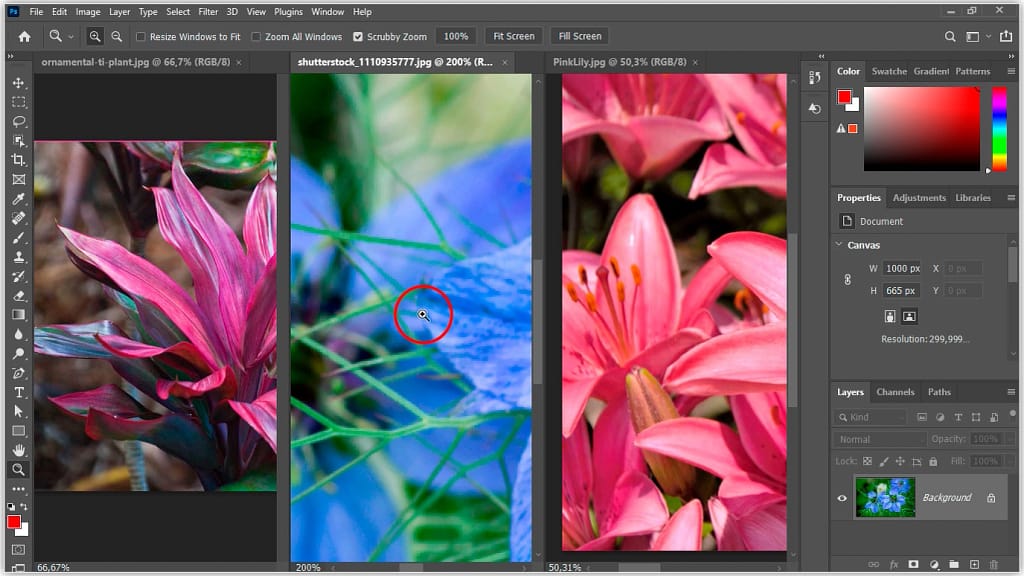 Aumentar o zoom em uma única imagem dentro do layout.