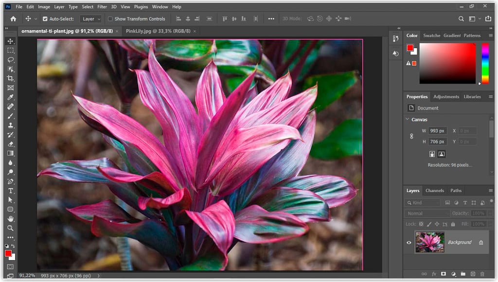 Como visualizar várias imagens ao mesmo tempo no Photoshop