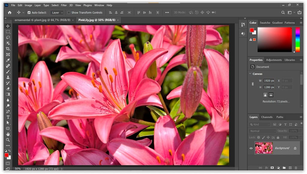Como visualizar várias imagens ao mesmo tempo no Photoshop