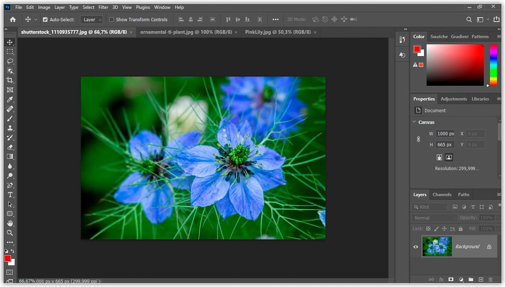 De volta ao layout de documento padrão do Photoshop.