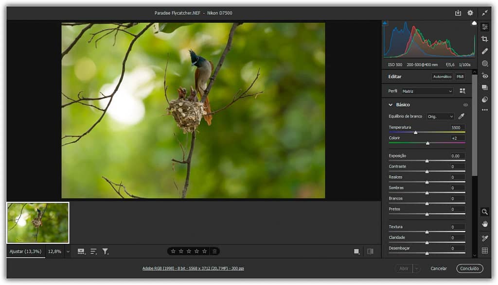Super resolução no Adobe Camera Raw-Imagens de alto nível