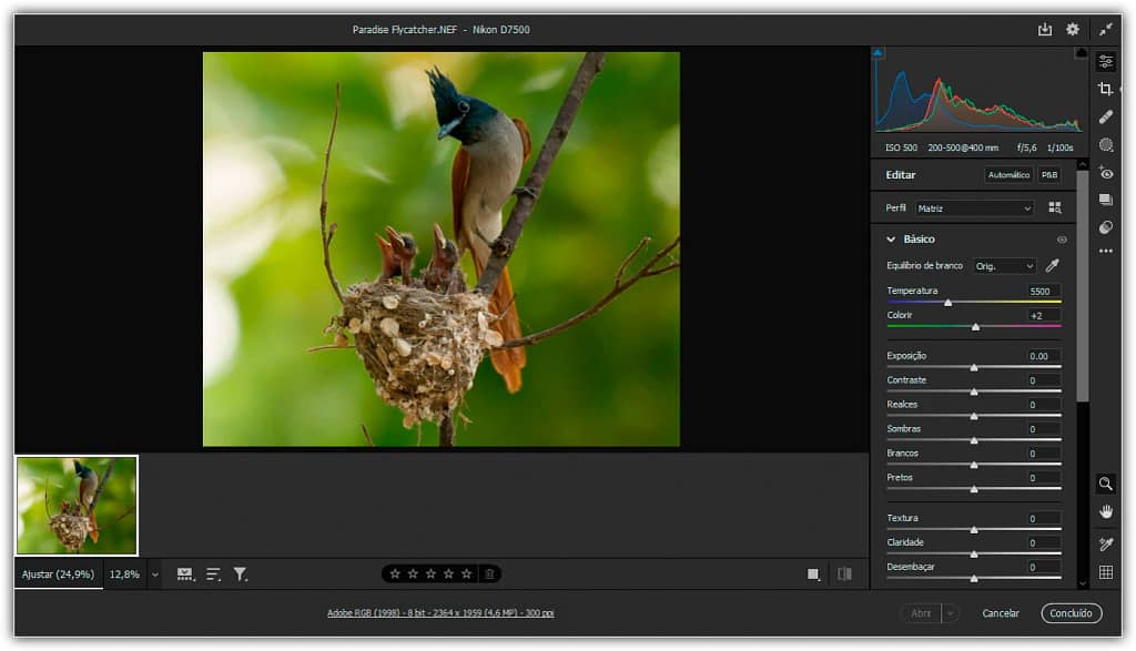 Super resolução no Adobe Camera Raw-Imagens de alto nível