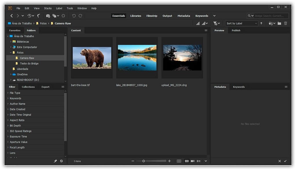 Como abrir imagens no Camera Raw