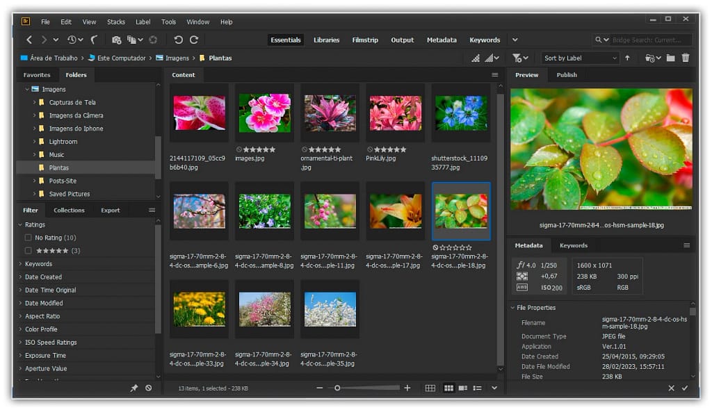 Adobe Bridge CC.