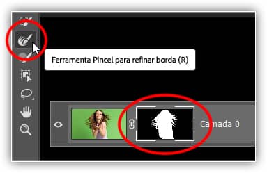 Pincel para refinar borda.
