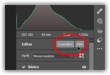 Escolhendo "Converter para escala de cinza".