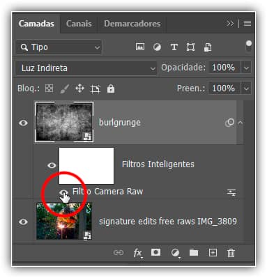 Clicando no ícone de visibilidade para desativar o filtro Camera Raw.