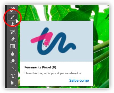Por que precisamos de seleções no Photoshop?