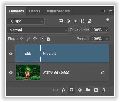 O painel Camadas mostrando a camada de ajuste acima da imagem.