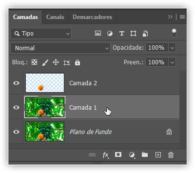 As camadas selecionadas aparecem destacadas em cinza.