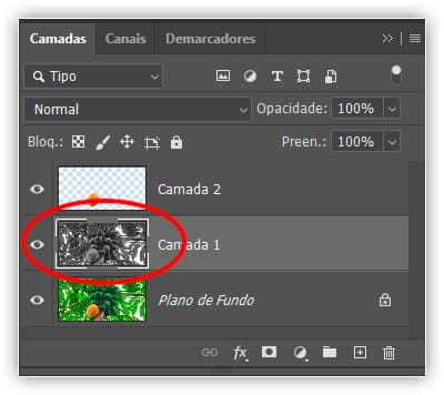Por que precisamos de seleções no Photoshop?