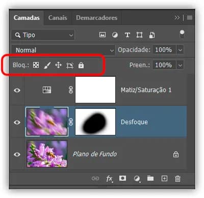 As cinco opções de bloqueio de camada.