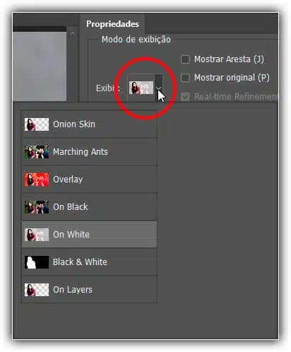 Refinar Bordas de Seleção – Photoshop CC