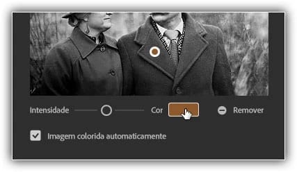 Como colorir fotos em preto e branco com o filtro Colorir do Photoshop