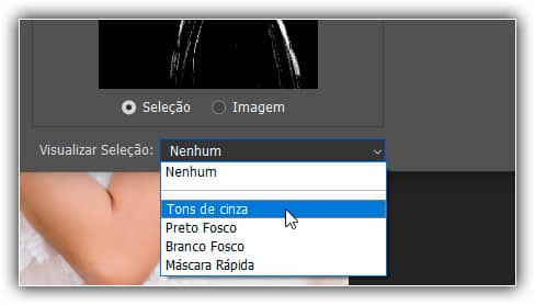 Escolhendo Tons de Cinza na opção Visualizar Seleção.