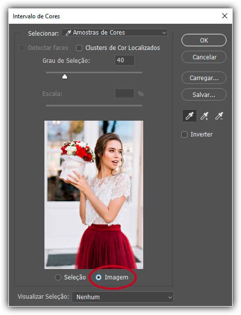 Escolha "Imagem" para ver sua imagem na janela de visualização. Escolha "Seleção" para visualizar a visualização em escala de cinza.