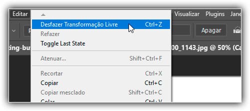 Indo para Editar > Desfazer.