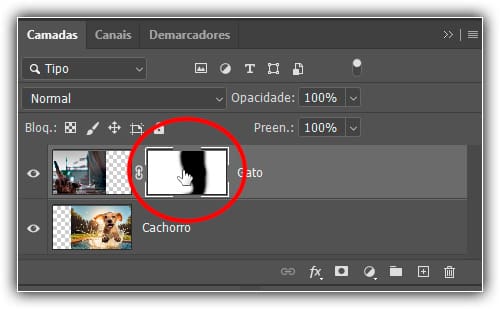 Segurando Alt (Win) / Option (Mac) e clicando na miniatura da máscara.
