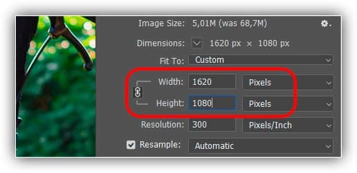 Redimensionar a imagem para caber inteiramente em um monitor 1080p padrão.