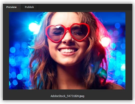 Uma visualização da imagem selecionada aparece no painel Visualização.