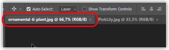 Como visualizar várias imagens ao mesmo tempo no Photoshop