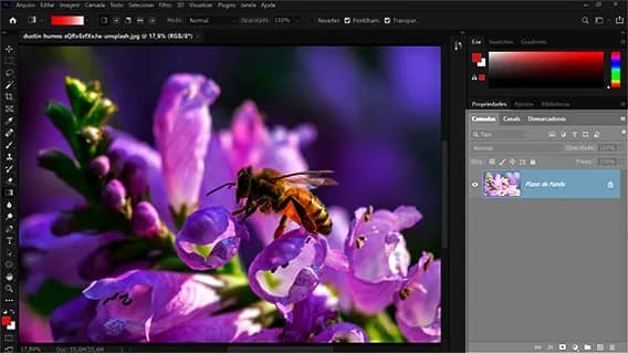 Conceitos Básicos do Painel de Camadas do Photoshop