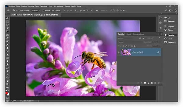 Conceitos Básicos do Painel de Camadas do Photoshop