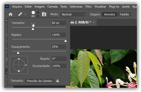 Tamanho do pincel.