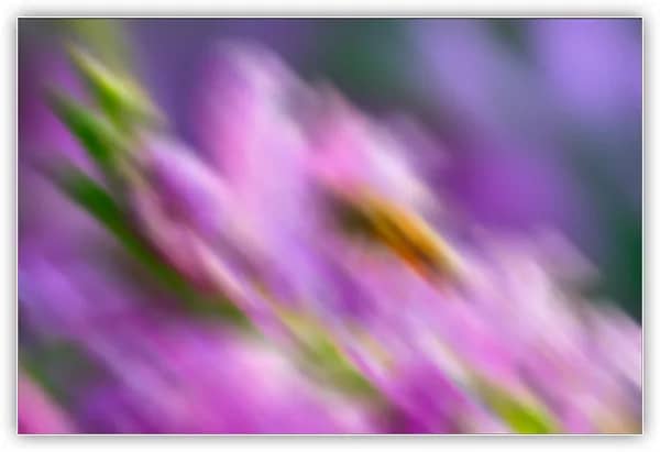 O efeito depois de aplicar o filtro Gaussian Blur.