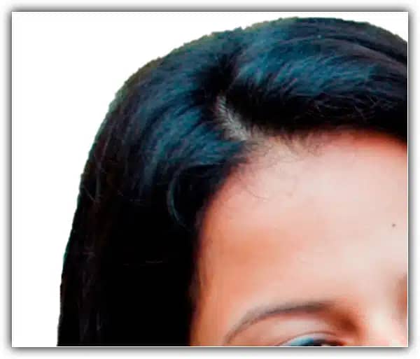 Refinar Bordas de Seleção – Photoshop CC