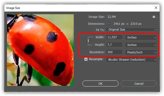 O tamanho do documento anda de mãos dadas com as dimensões de pixel
