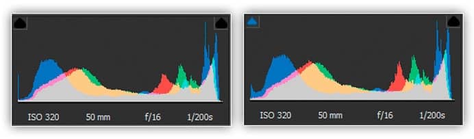 Os histogramas ainda não mostram muita diferença entre as versões raw (esquerda) e JPEG (direita).