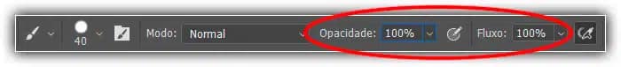 Transferência - Pincéis do Photoshop