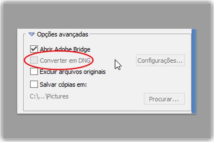 Deixando a opção "Converter para DNG" desmarcada por enquanto.