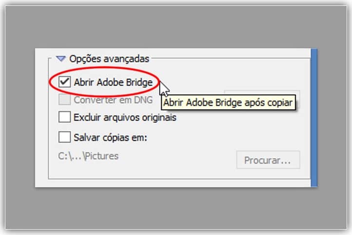 Deixe a opção "Abrir Adobe Bridge" marcada.