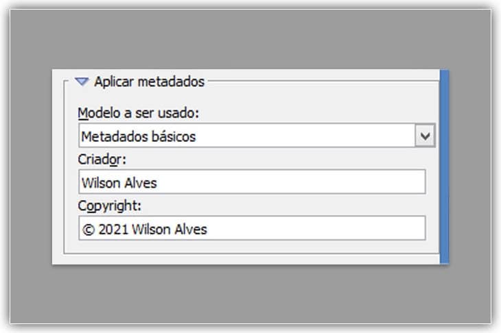Use a seção Aplicar metadados para adicionar informações sobre criadores e direitos autorais às suas imagens