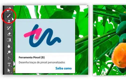 Por que precisamos de seleções no Photoshop?