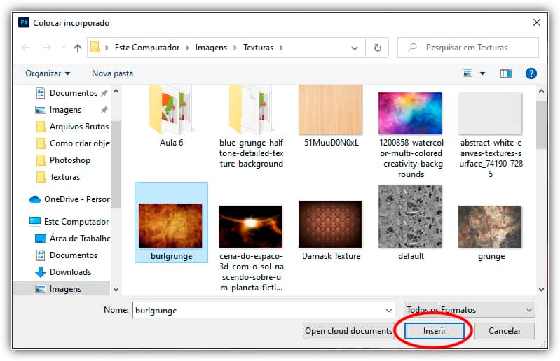 Selecionando a imagem a ser colocada no documento.
