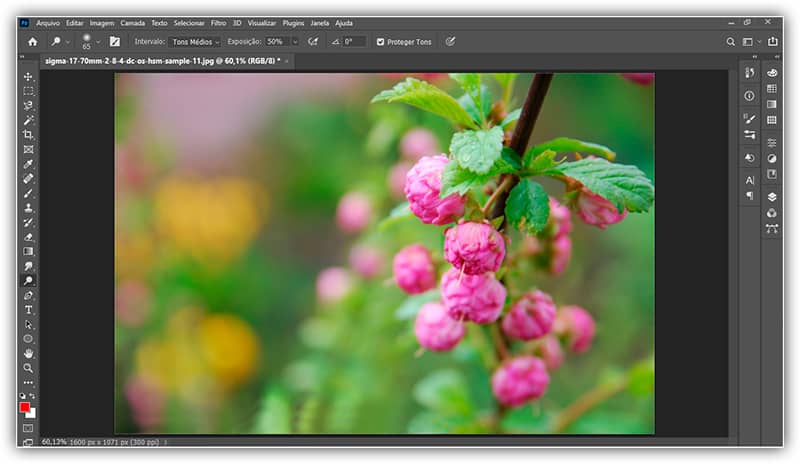 O documento do Photoshop para onde o arquivo do Illustrator está direcionado.