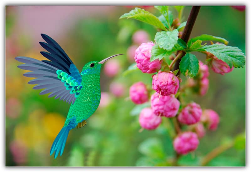 A arte vetorial foi colocada no documento do Photoshop.