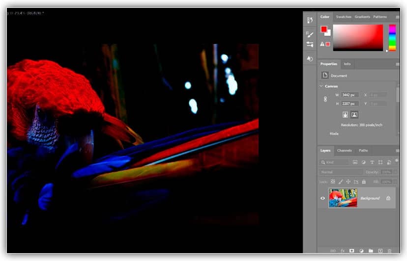 Os painéis estão localizados em uma coluna à direita do Photoshop.