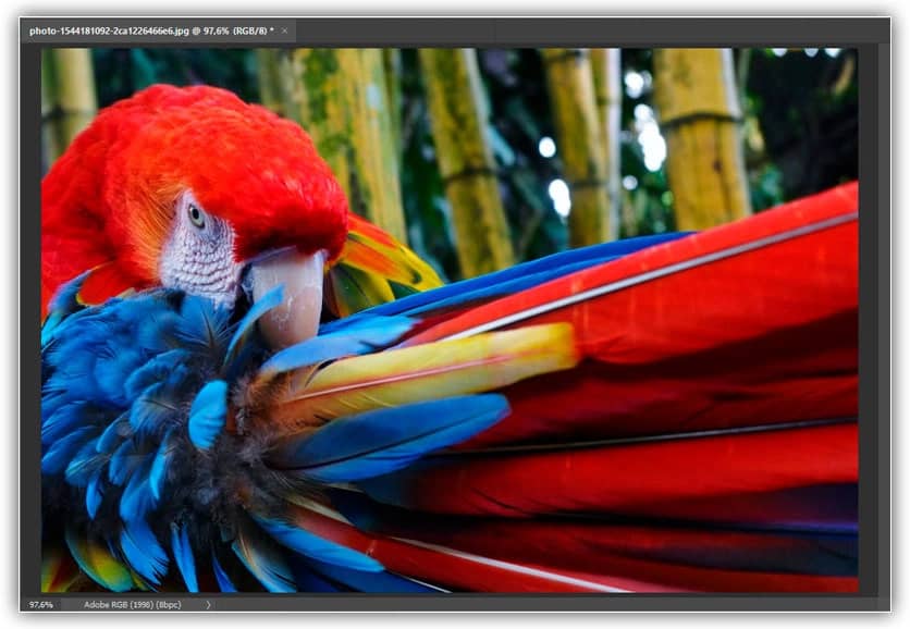 Conhecendo a Interface do Photoshop