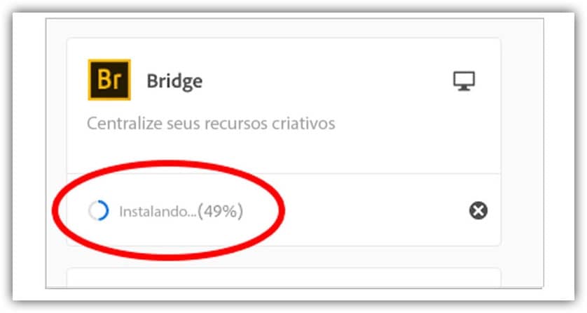 O indicador de progresso.