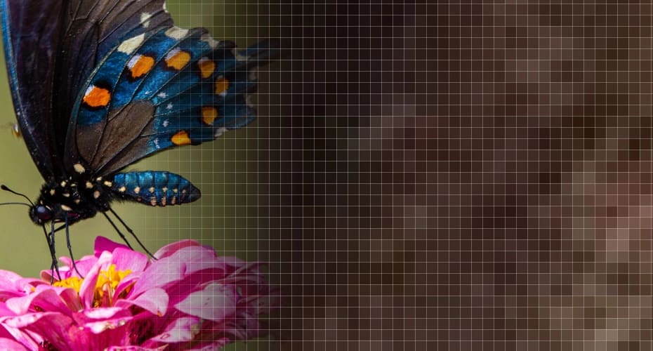 Compreendendo os pixels da imagem