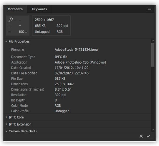 Veja tudo o que você gostaria de saber sobre a imagem no painel Metadados.