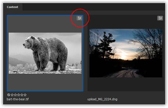 O ícone de configurações do Camera Raw aparece no canto superior direito da miniatura TIFF.