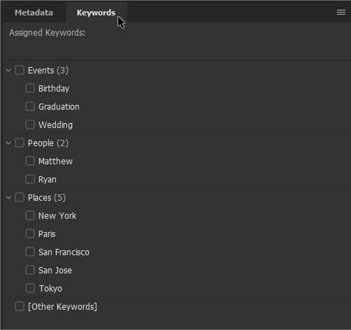 Use o painel Palavras-chave para adicionar palavras-chave descritivas às imagens, facilitando encontrá-las posteriormente.