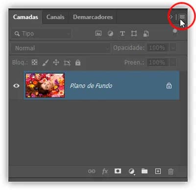 Configurações do Painel de Camadas Essenciais