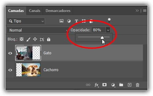 Noções básicas de máscara de camada do Photoshop para iniciantes